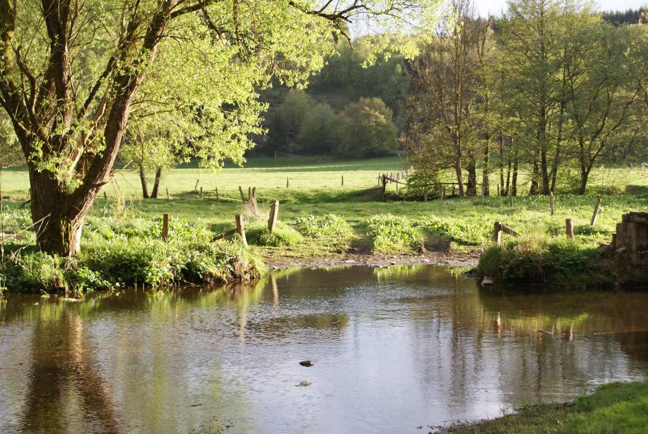 Le Gite De L Ourthe Ortheuville Exterior foto