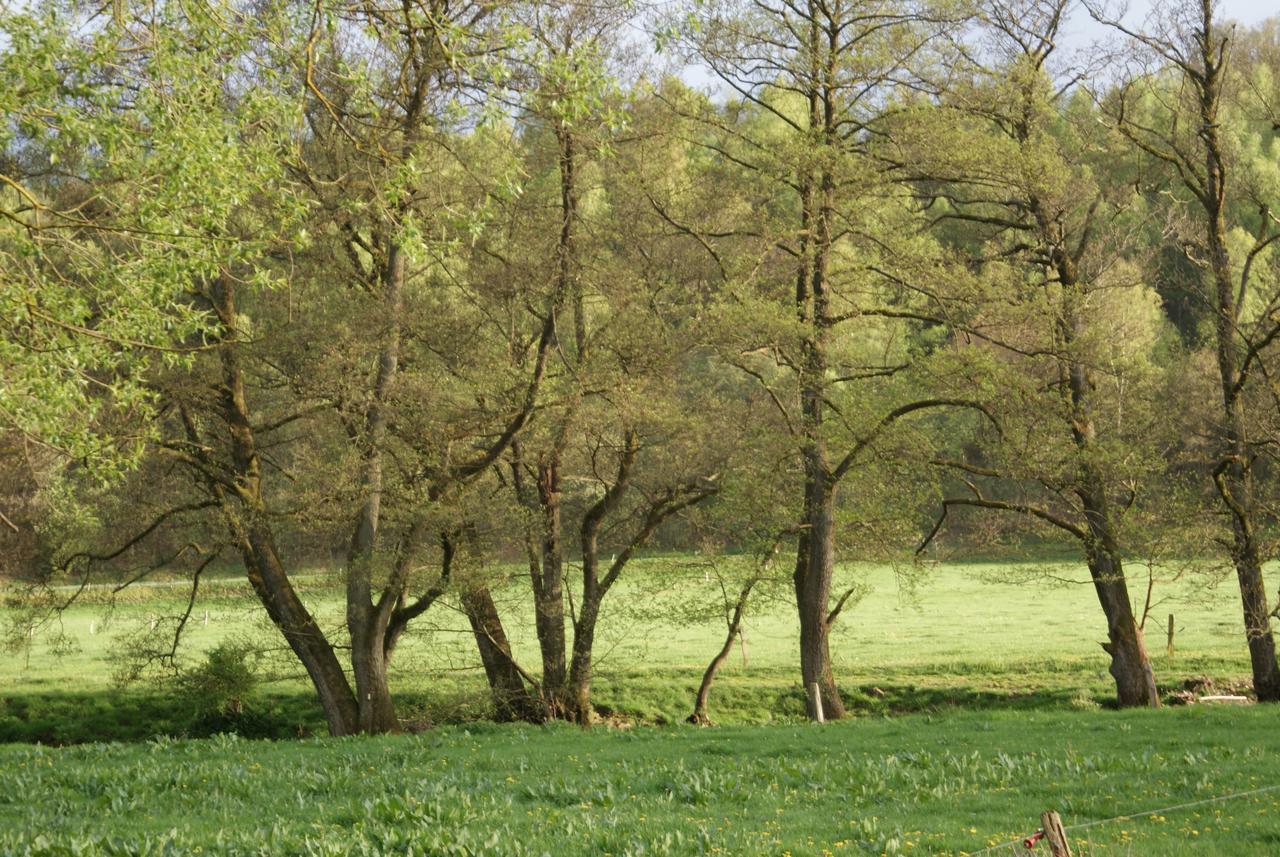 Le Gite De L Ourthe Ortheuville Exterior foto