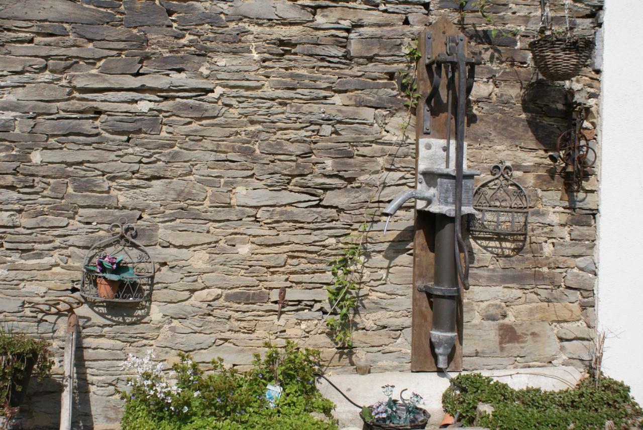 Le Gite De L Ourthe Ortheuville Exterior foto